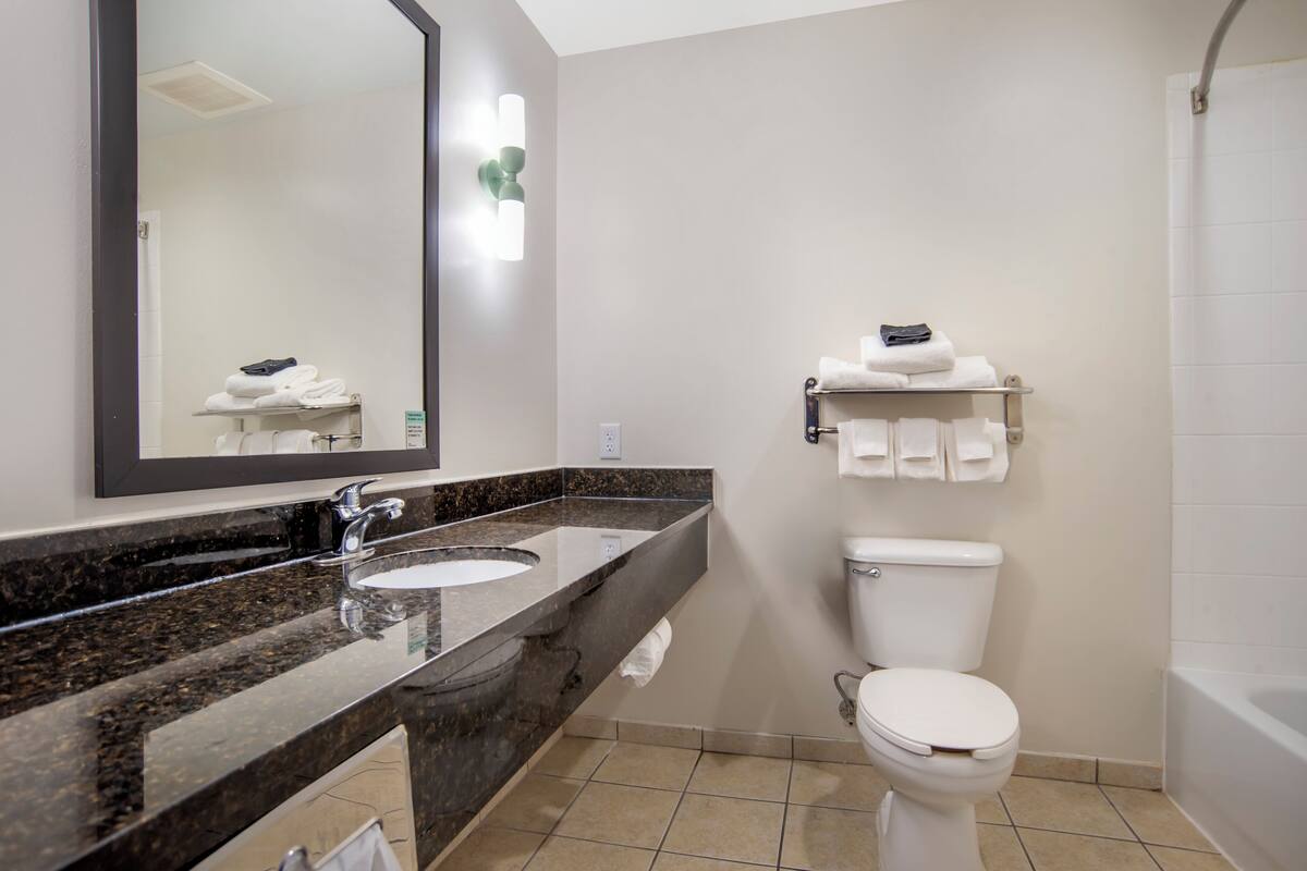 combined shower/bathtub, free toiletries, hair dryer, towels