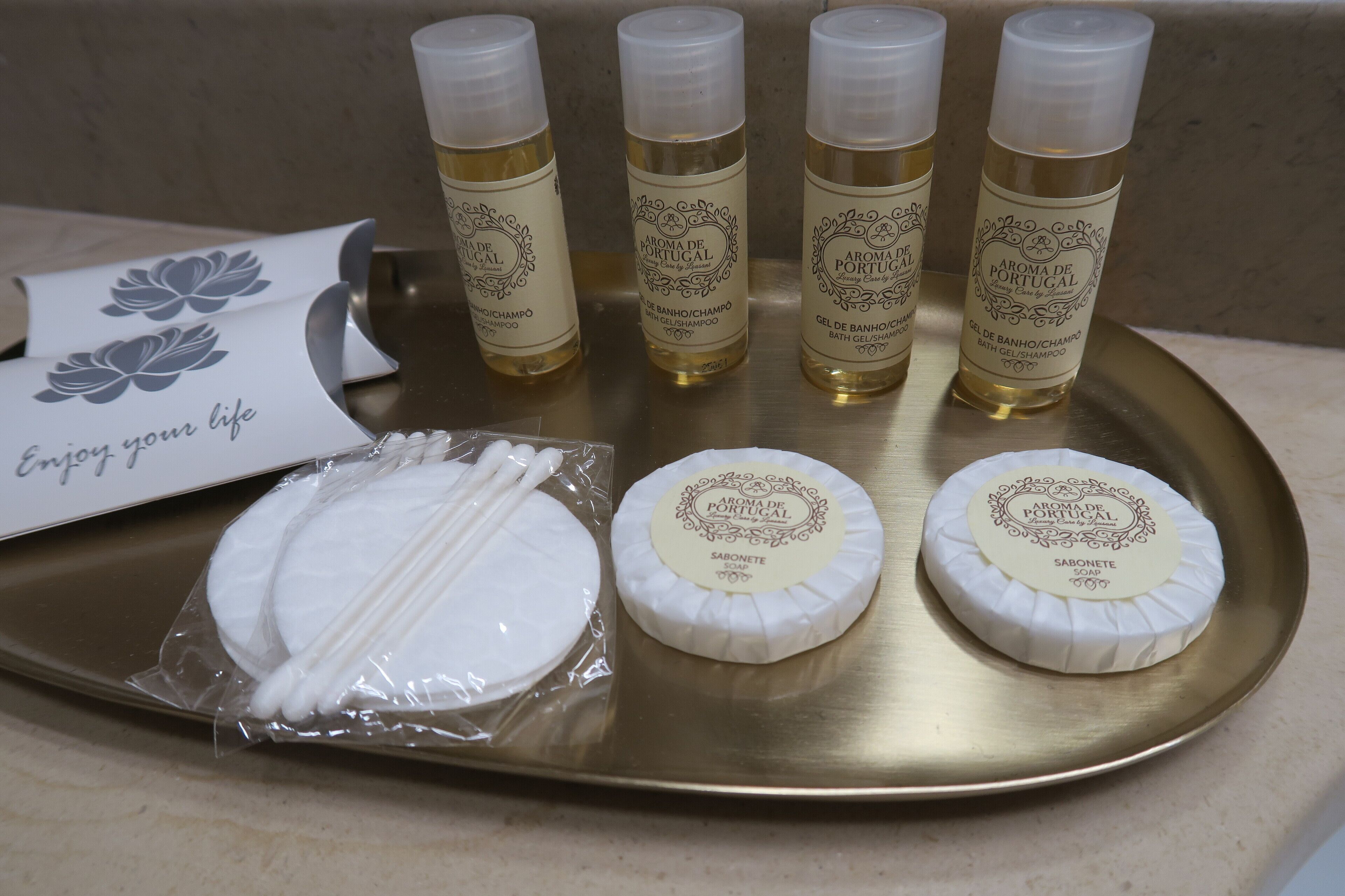 combined shower/bathtub, rainfall showerhead, hair dryer, bidet