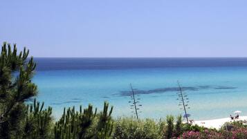 Una spiaggia con acque cristalline, una riva sabbiosa e un po' di vegetazione sullo sfondo.