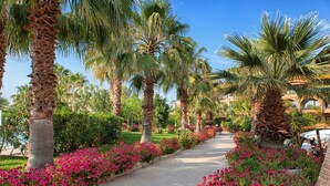 A pathway lined with palm trees and pink flowers, leading to a building with arches. - Acacia Resort (Campofelice di Roccella)