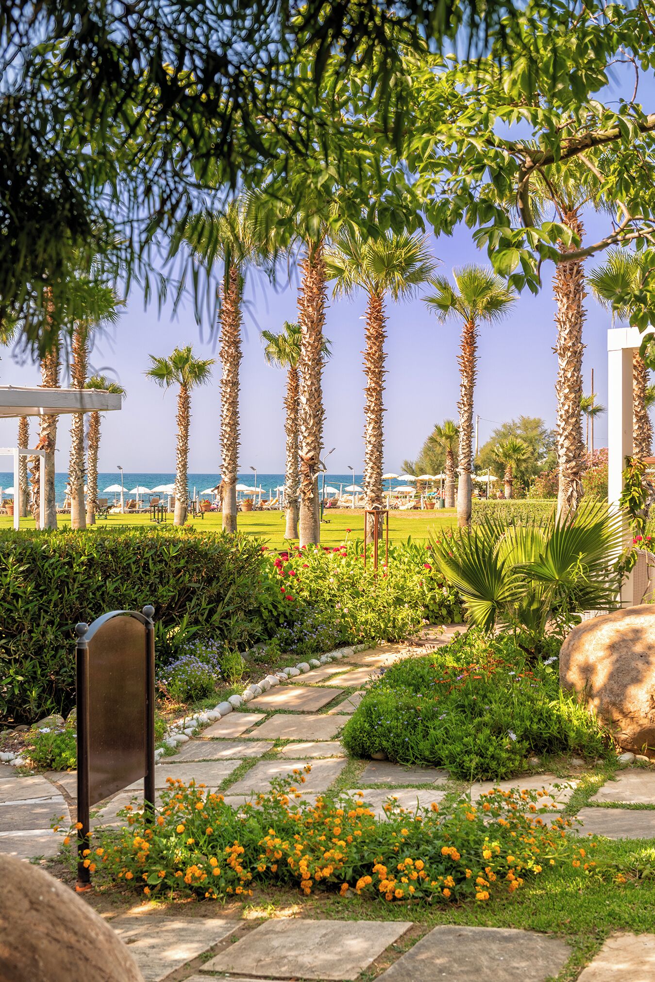 A garden pathway with palm trees, a pergola, and a view of the beach.