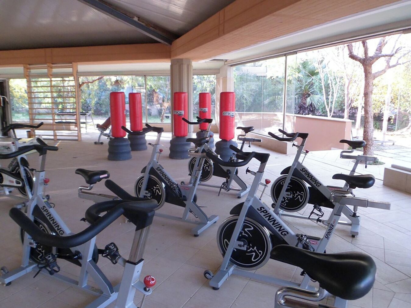 A gym with stationary bikes, red punching bags, and a view of trees through large windows.