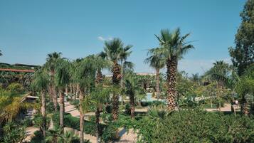 A tropical resort with palm trees and a pool.