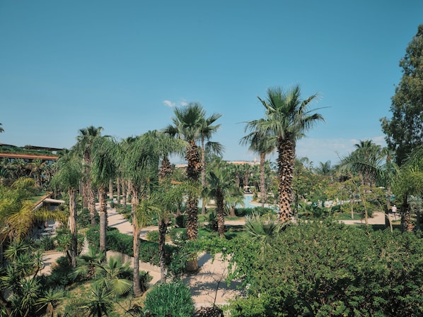 A tropical resort with palm trees and a pool. - Acacia Resort (Campofelice di Roccella)