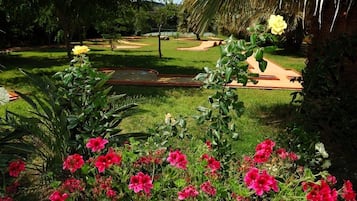 Mini-golf