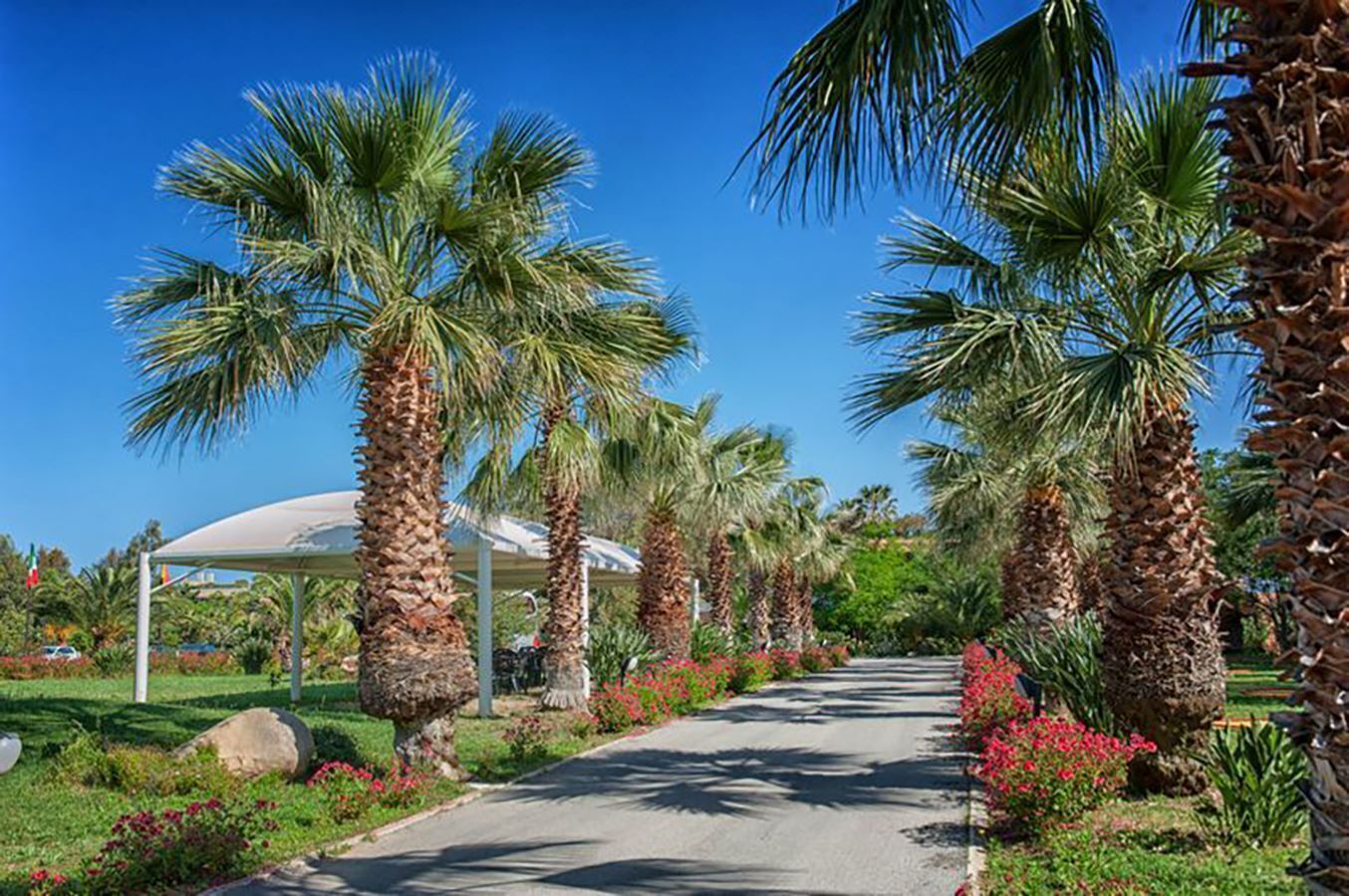 A pathway lined with palm trees and red flowers, leading to a white gazebo.