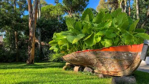 A garden with a large wheelbarrow, green grass, and trees. - Arbatax Park Resort - Telis by Falkensteiner (Tortoli)