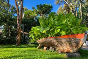 Área de parrillas y picnic