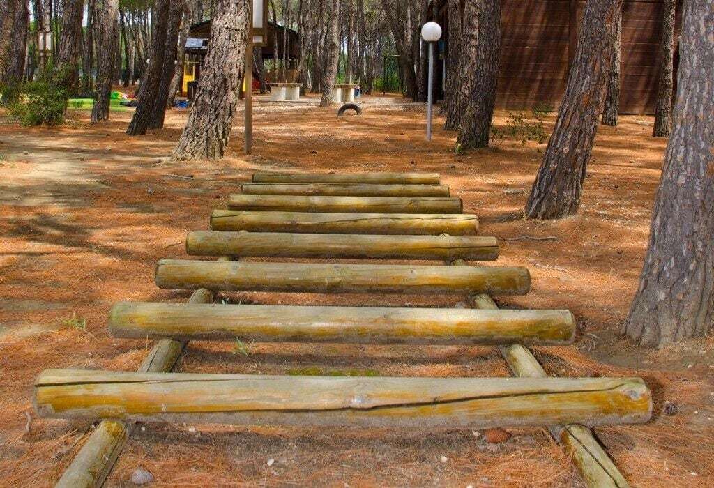 Eine Holztreppe führt in einen bewaldeten Bereich.