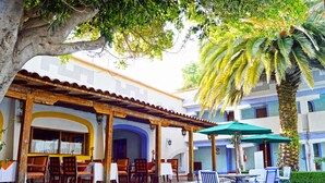 An outdoor patio with tables and chairs, a palm tree, and a building with blue and white walls. - Villas Arqueologicas Teotihuacan (Teotihuacan)