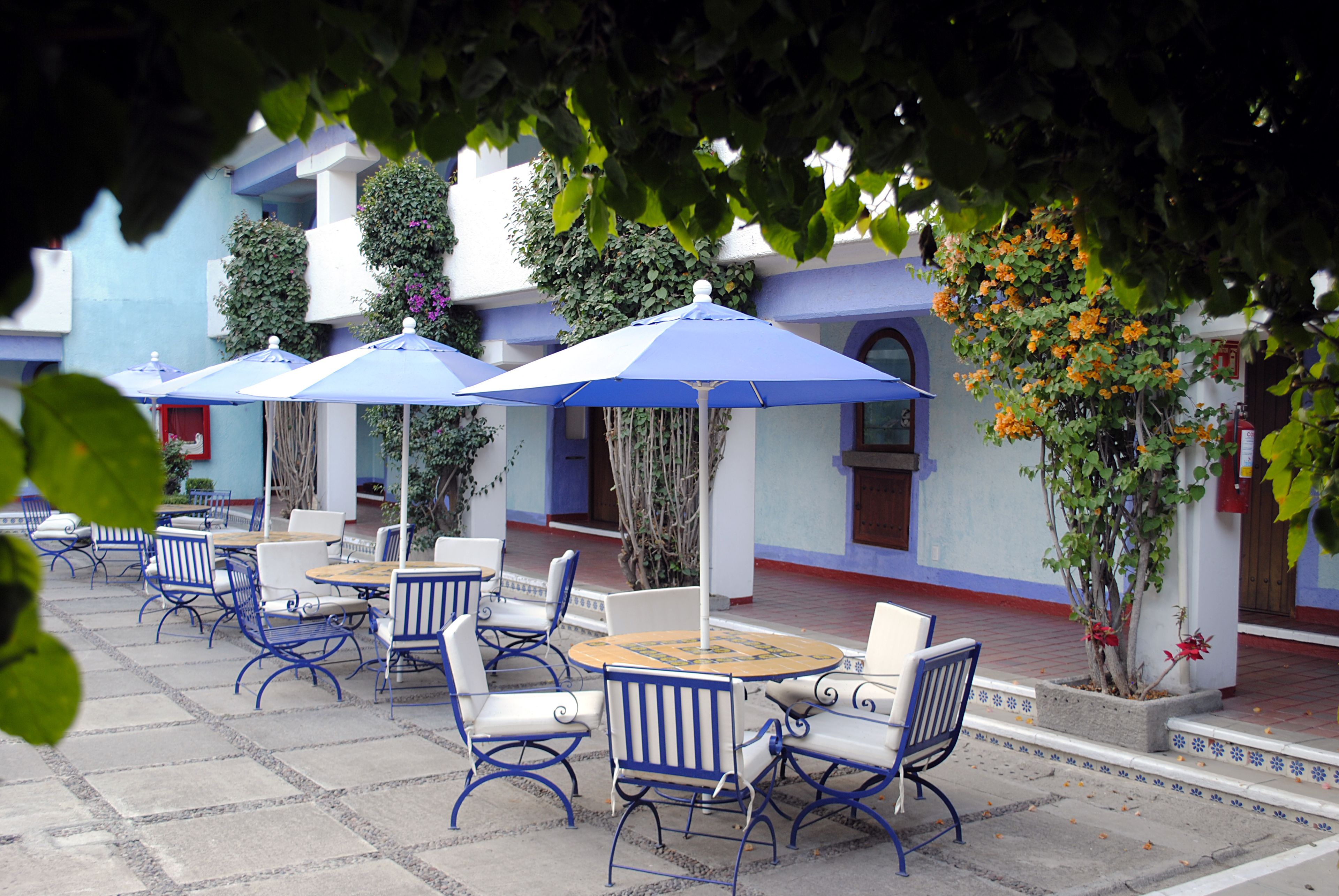 breakfast, lunch, dinner served; pool views