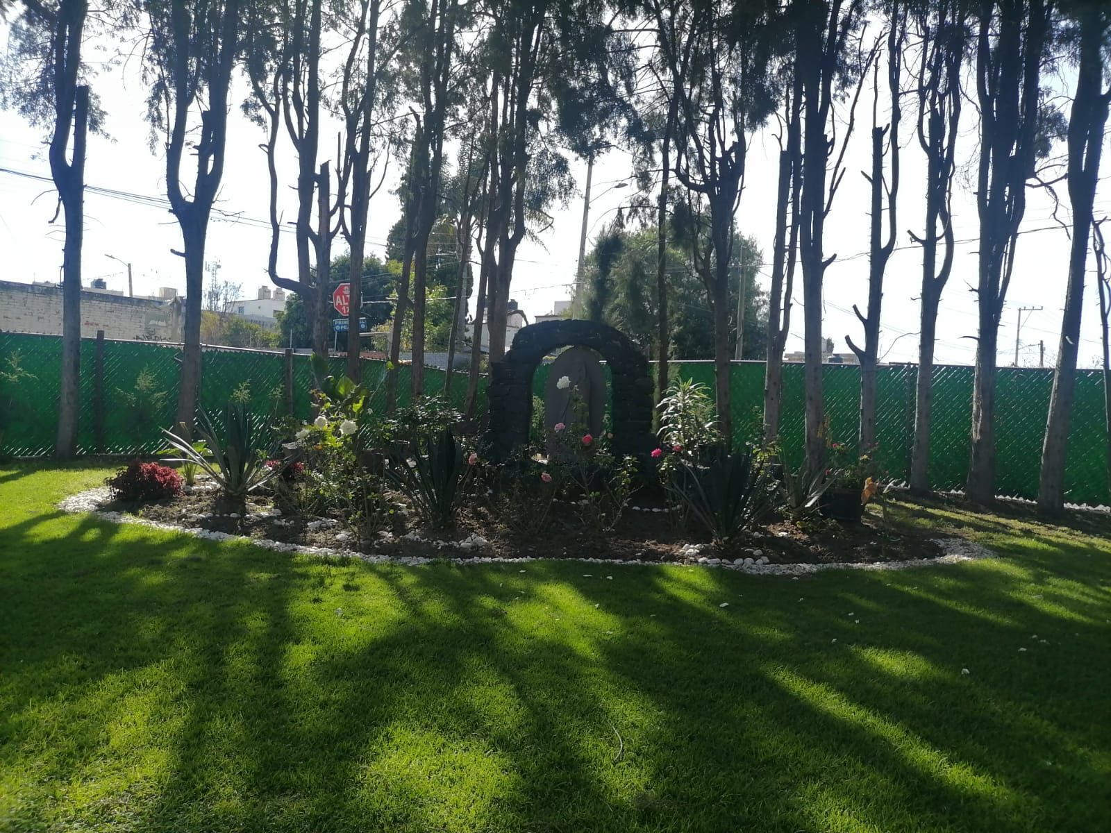 Taman