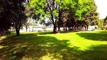 A grassy park with trees and a building in the background.