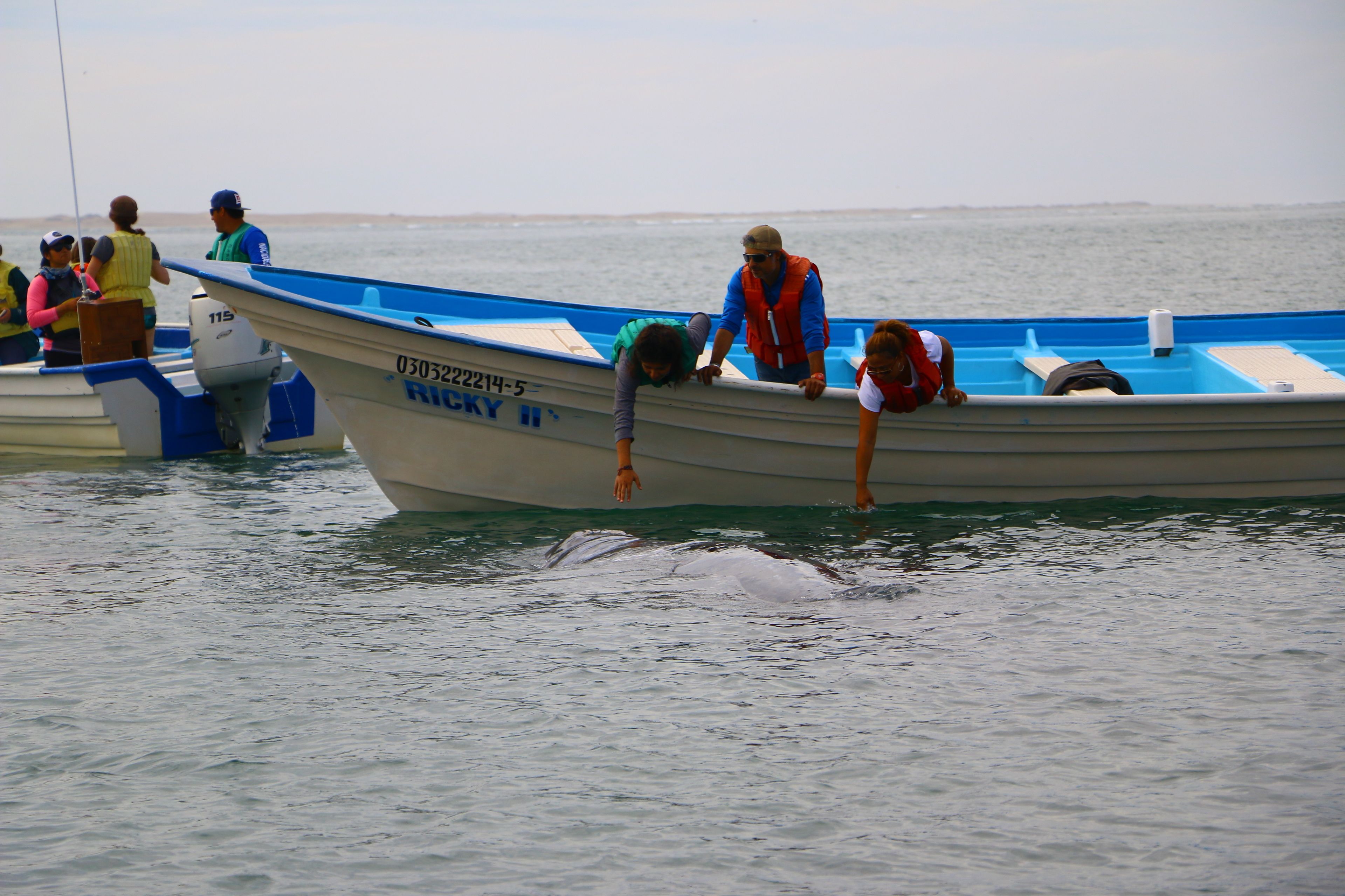 A boat with people on board, some wearing life jackets, and a person swimming in the water.