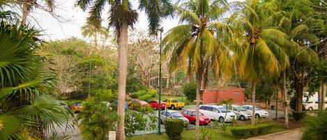 A parking area with several cars, surrounded by palm trees and greenery.