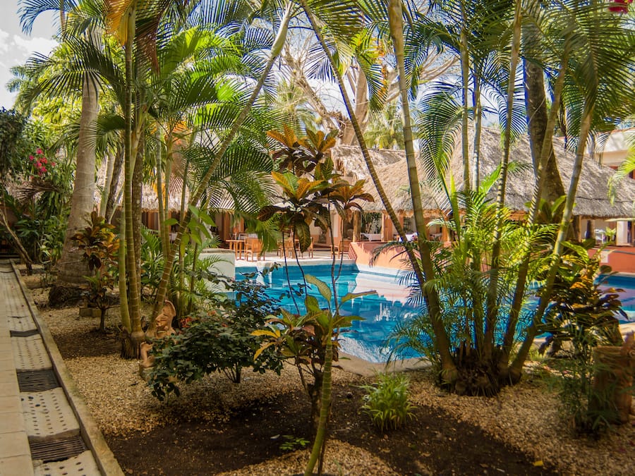 Alberca al aire libre, sombrillas en la alberca y camastros