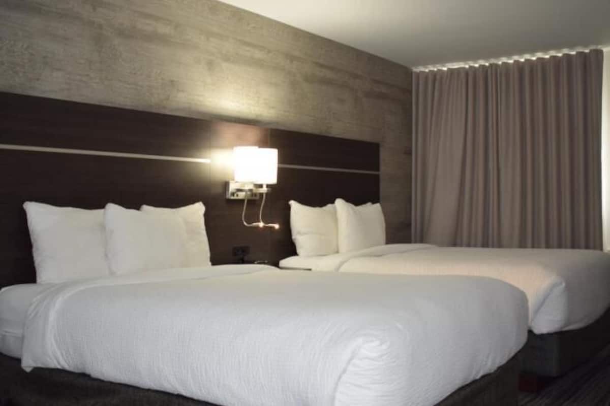 Premium bedding, pillow-top beds, in-room safe, desk