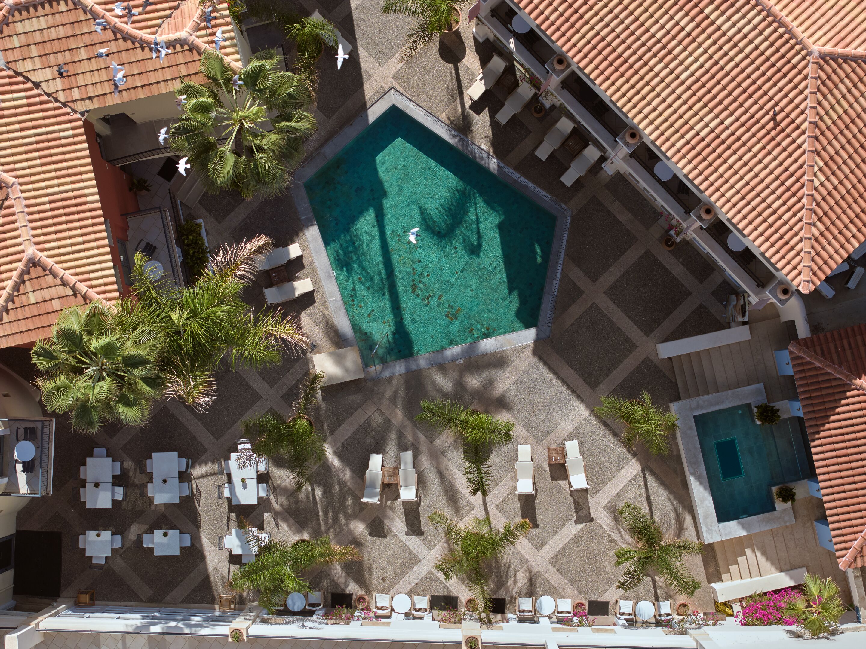 An aerial view of a rooftop pool area with multiple lounge chairs and tables, surrounded by palm trees and a tiled roof.