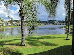 Lake - Bay of Palms (Elanora)