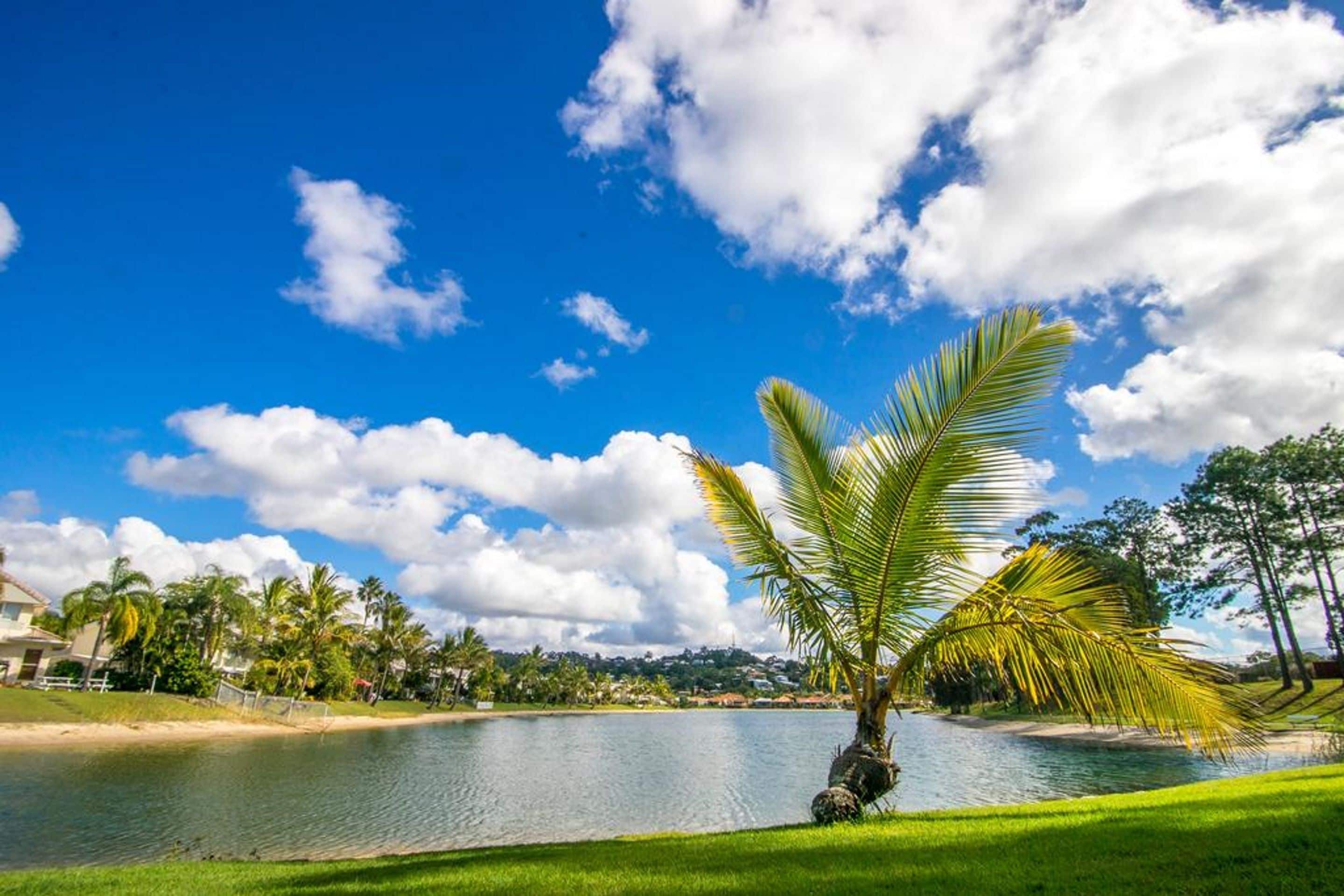 Bay of Palms — image 27