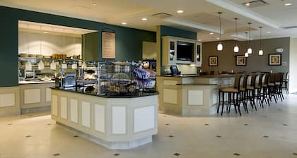 Hilton Garden Inn Detroit/Novi
