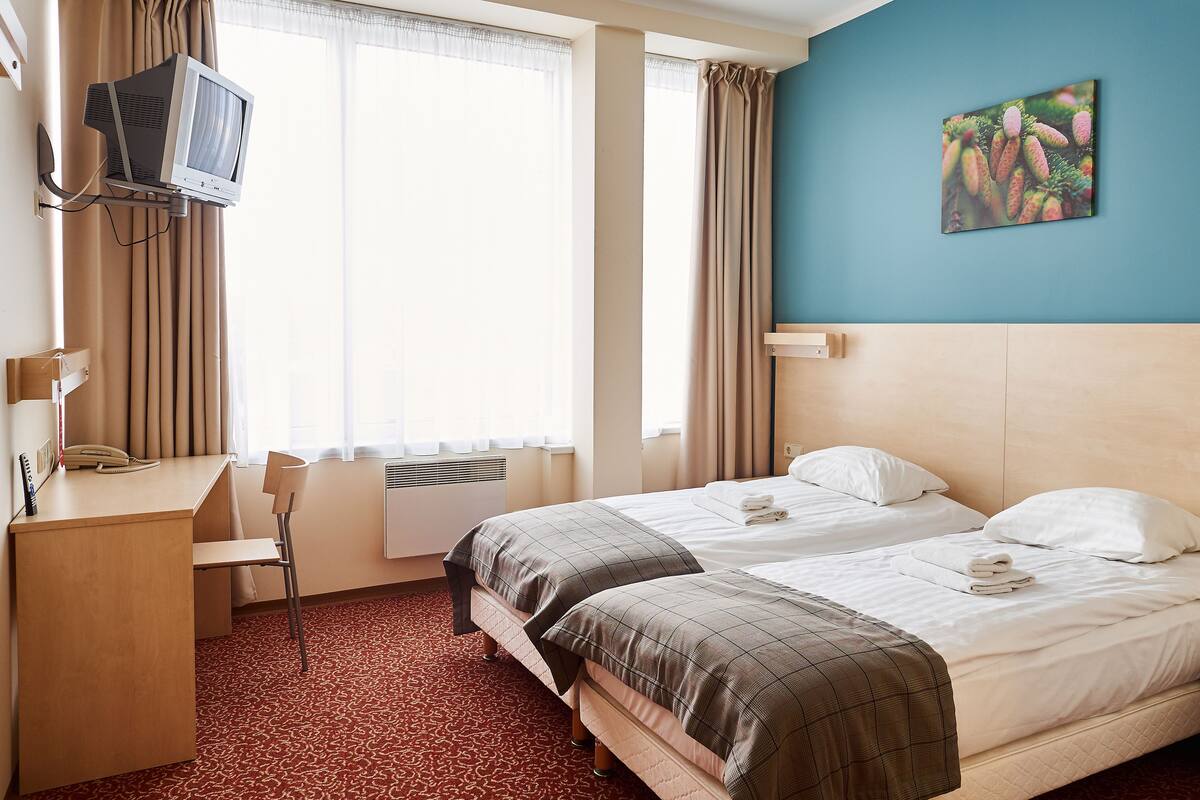 Standard Twin Room, 2 Twin Beds | Desk, soundproofing, rollaway beds (surcharge), WiFi (free)