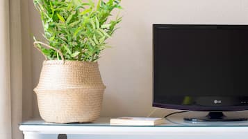Flat-screen TV