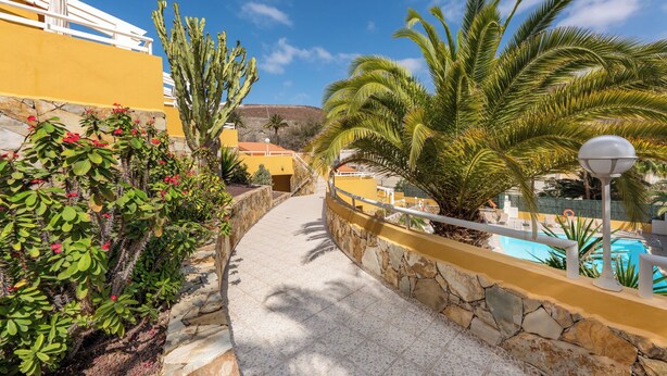 Un sendero conduce a una zona de piscina con muro de piedra, cactus y palmeras.