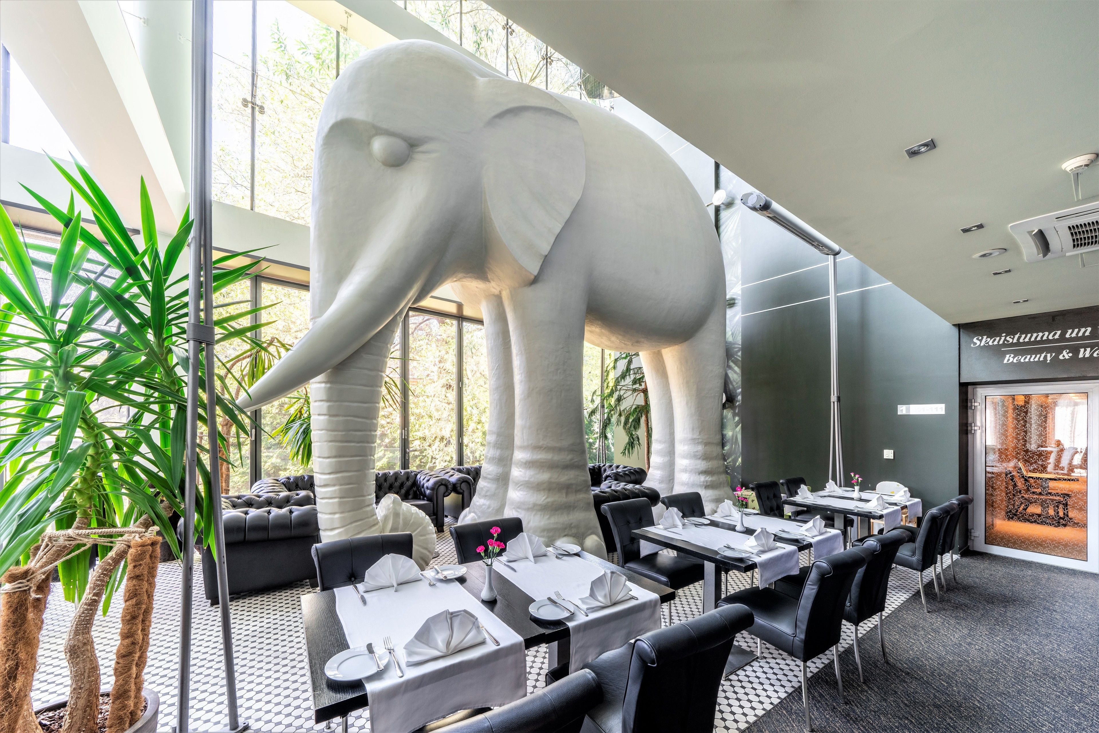 Foto - Rixwell Elefant Hotel