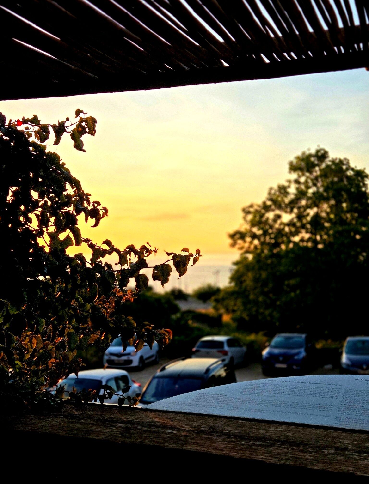 Photo - Sud Hotel