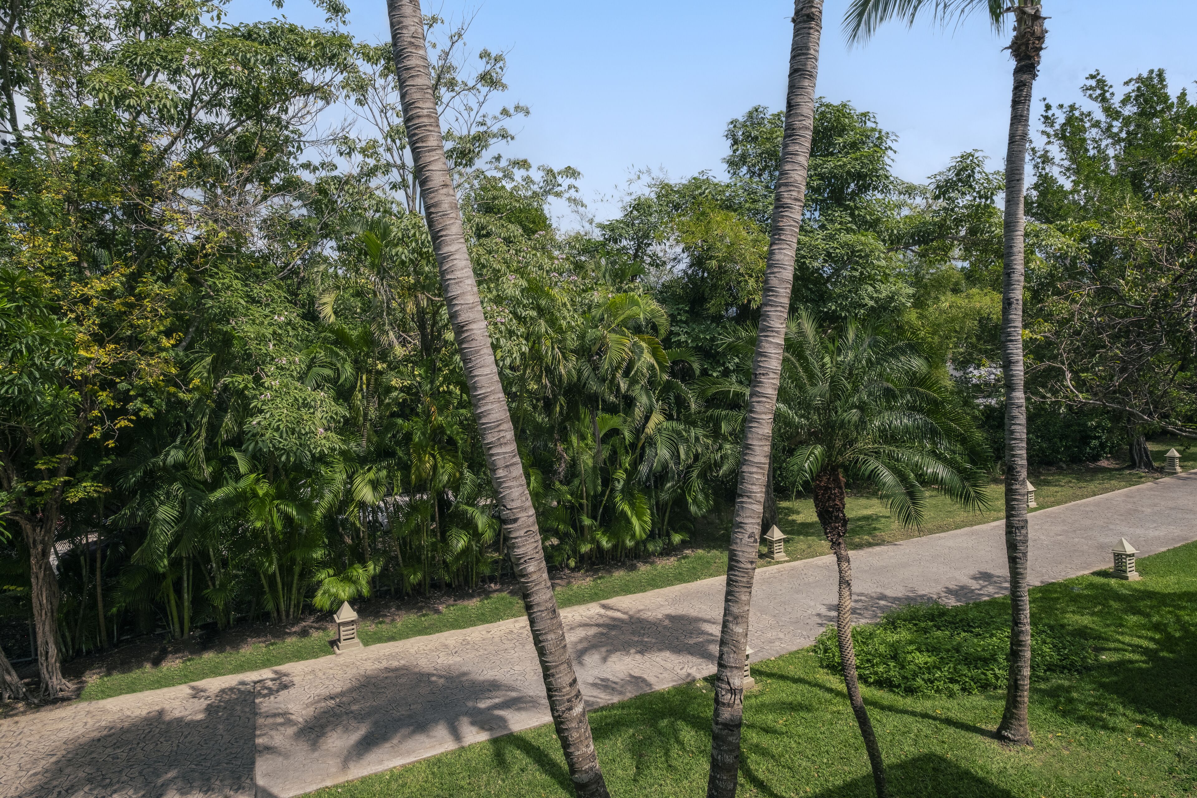 Foto - Iberostar Waves Paraíso del Mar - All Inclusive