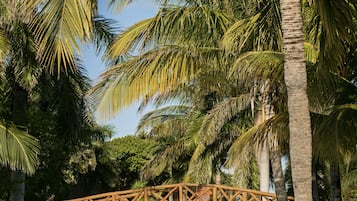 A pool with a stone bridge, palm trees, and a decorative stone sculpture.