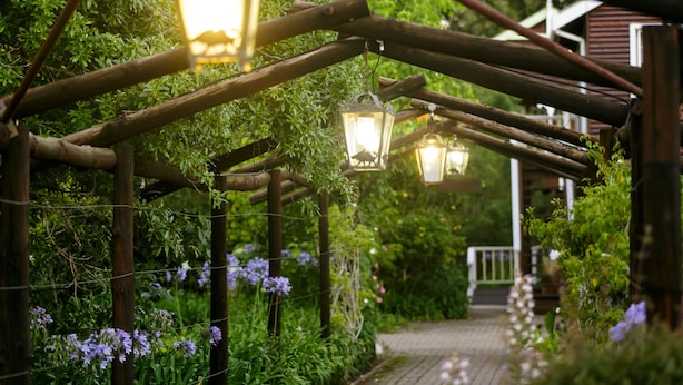 Une pergola en bois, ornée de lanternes suspendues, et un sentier bordé de fleurs violettes.