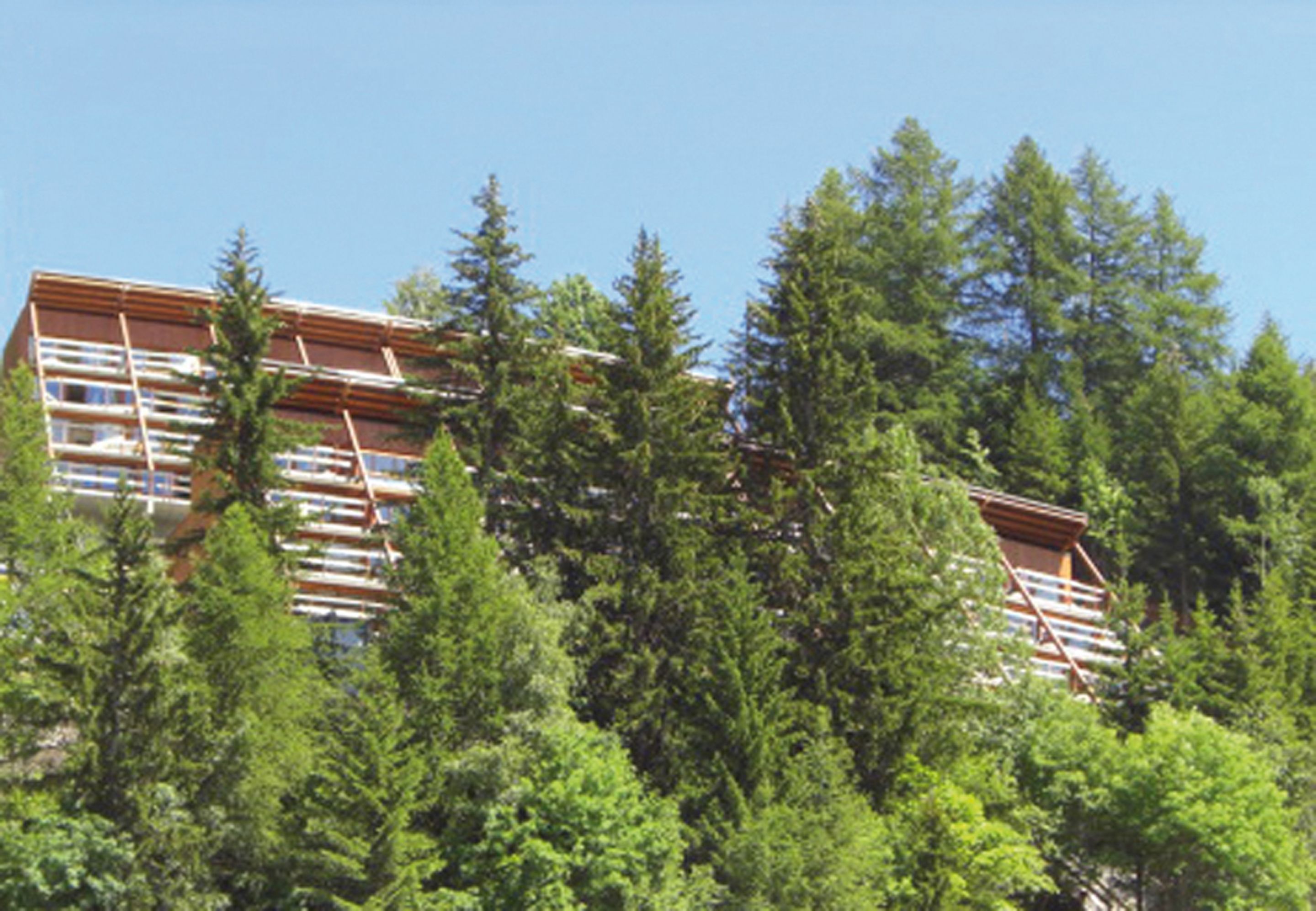 A multi-story building with a wooden facade, surrounded by dense green trees.