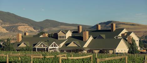 A vineyard estate with multiple buildings, including a large house with a green roof and several smaller structures.
