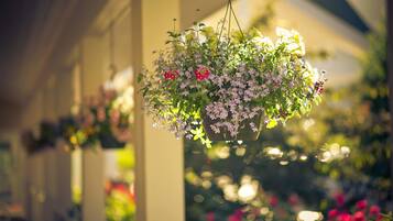Una cesta colgante con diversas flores.