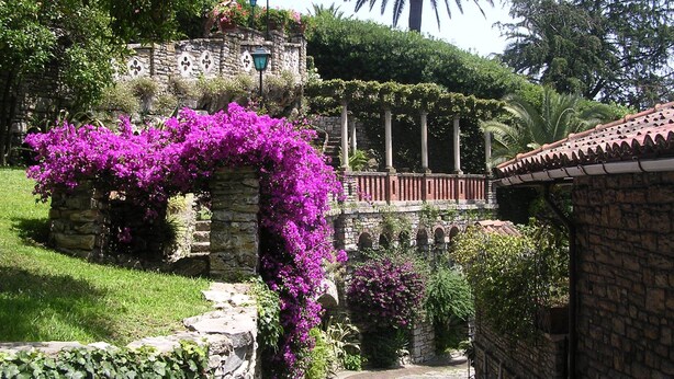 Um caminho de pedra serpenteia por um jardim com vibrantes flores de bougainvillea roxa e uma parede de pedra.