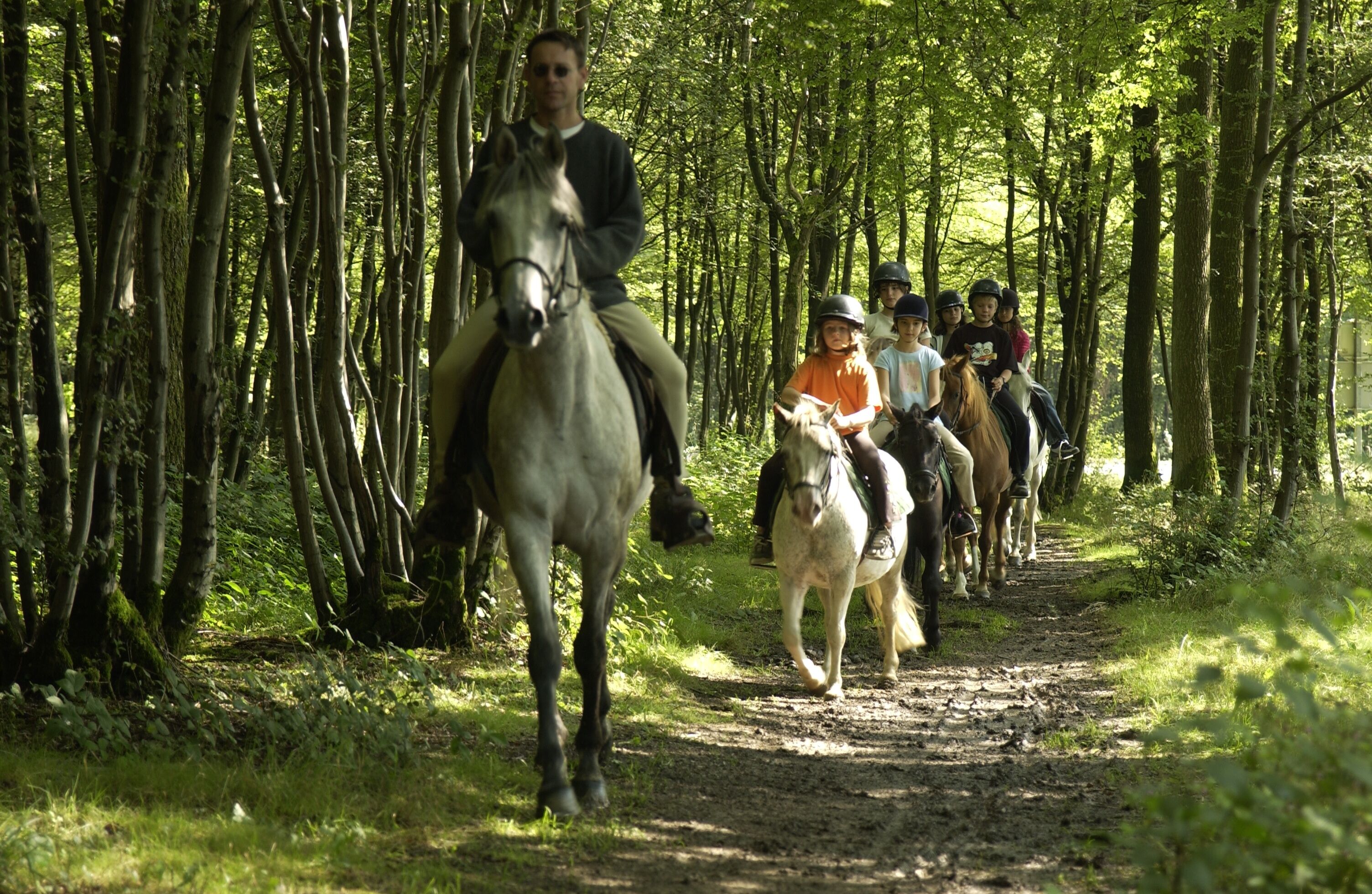 A group of people riding horses on a dirt path surrounded by trees.