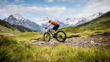 Un ciclista de montaña en un sendero, con montañas nevadas al fondo.
