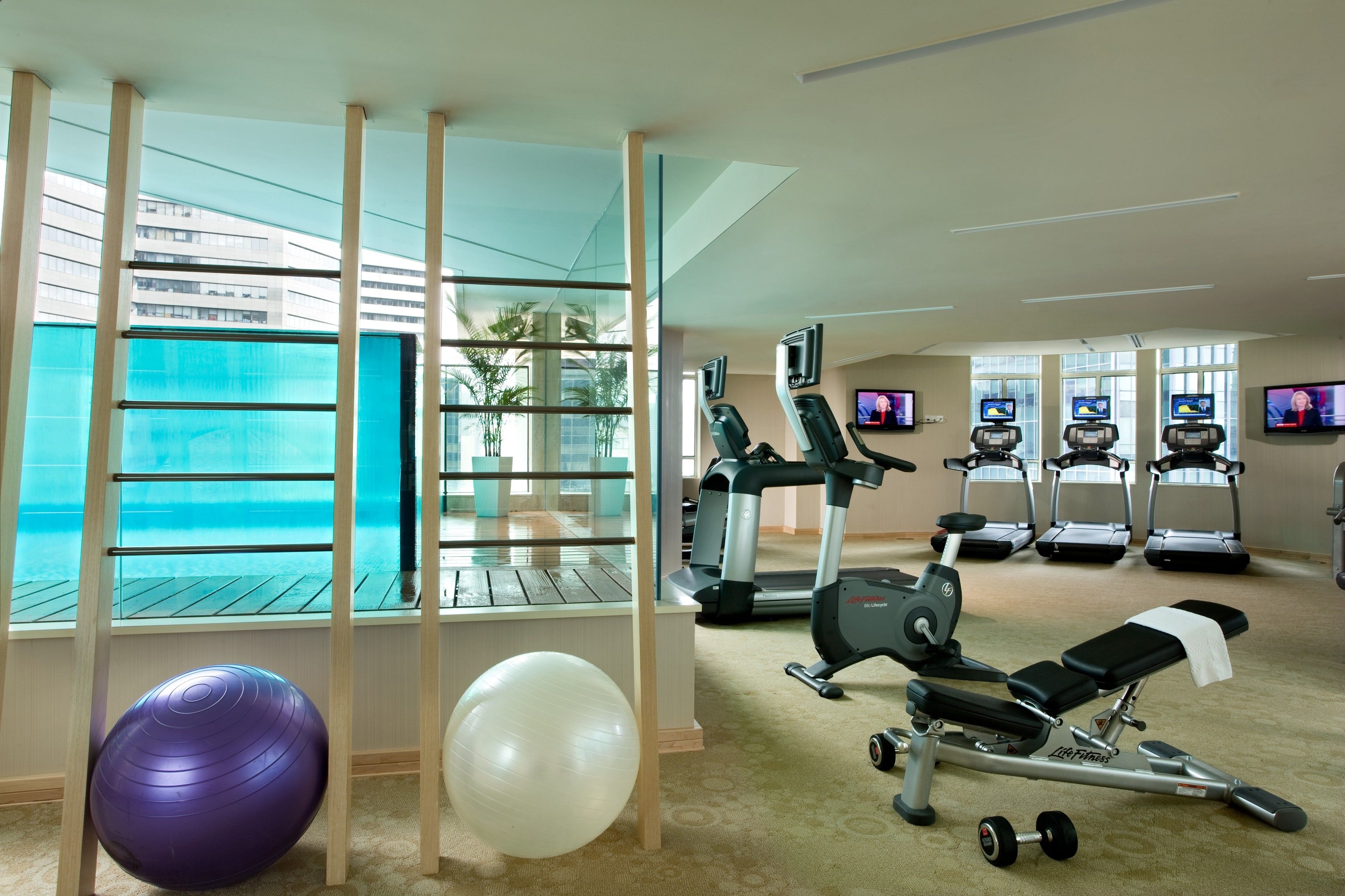 Area fitness