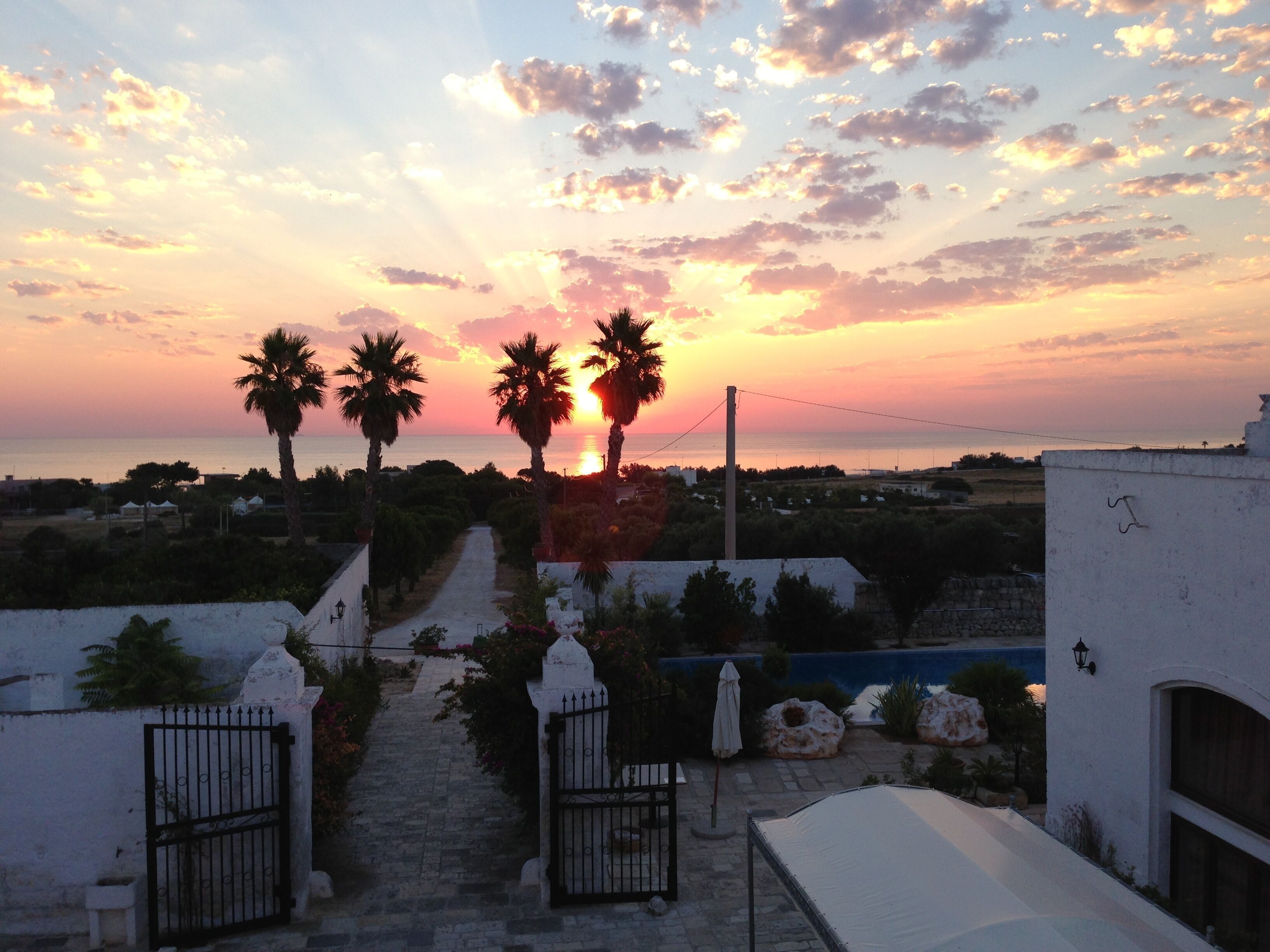 A sunset view with palm trees and a pathway leading to a white building with a gate.
