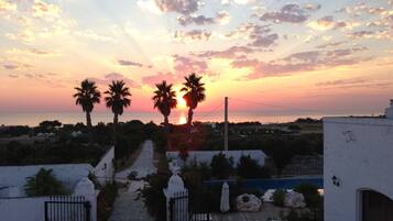 A sunset view with palm trees and a pathway leading to a white building with a gate.
