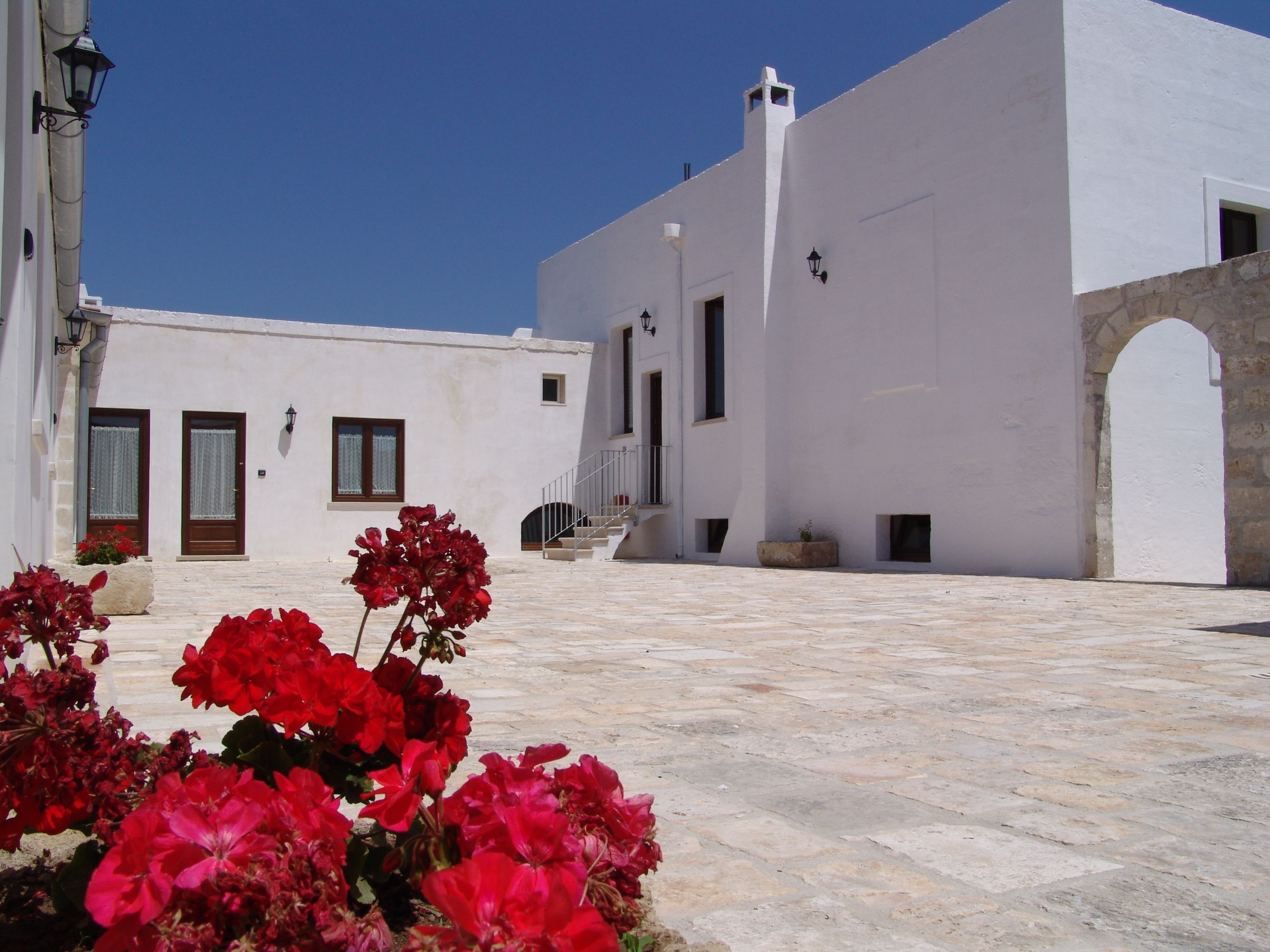 A white building with a stone staircase leading to a door, surrounded by red flowers.
