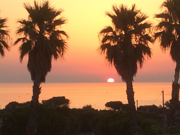 Zonsondergang met palmbomen in silhouet tegen de lucht.