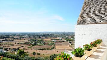 Vista de un paisaje rural con campos, un edificio blanco con techo de piedra y plantas en macetas en el balcón.