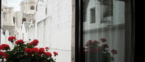 Un balcón con una maceta de flores rojas, vista de un edificio histórico con cúpula, y una puerta de cristal que refleja las flores.