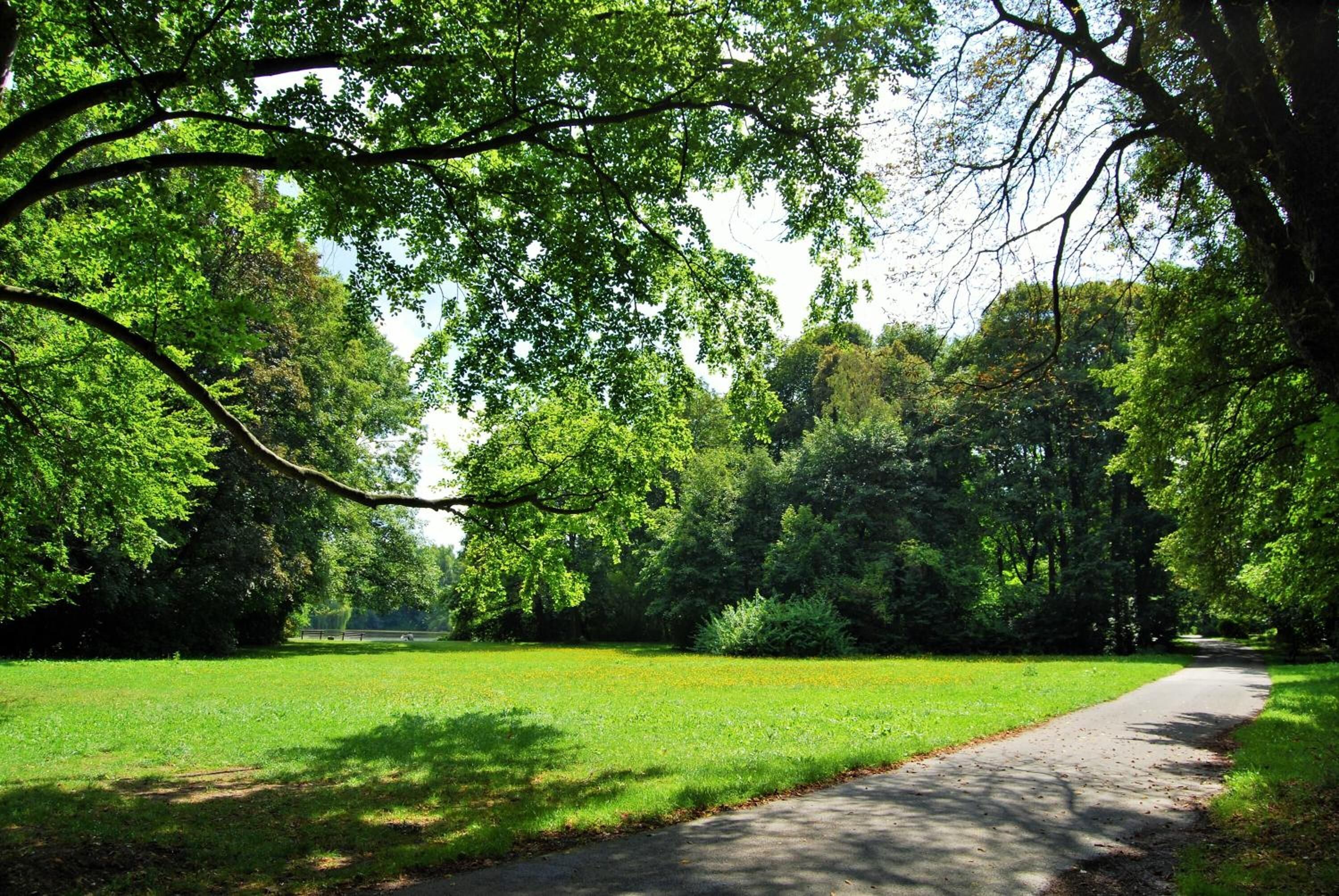 A paved path in a park with lush green grass and trees.