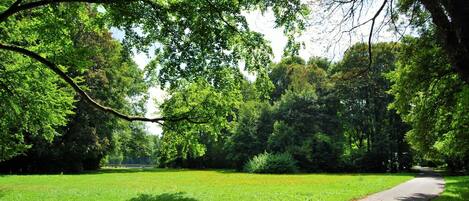 A paved path in a park with lush green grass and trees.