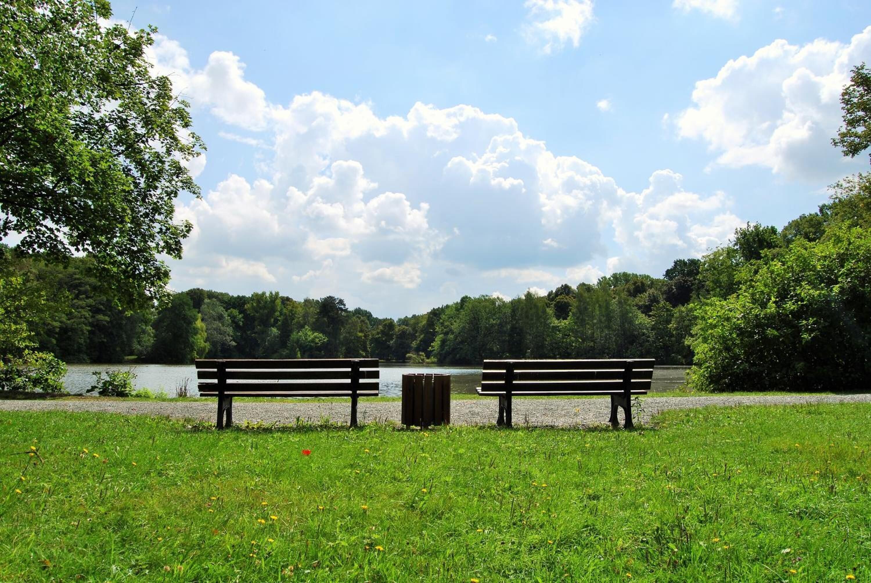 A park with two benches facing a lake, surrounded by trees and a clear sky.