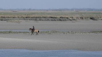 A horse and rider on a flat, open landscape with a distant horizon.
